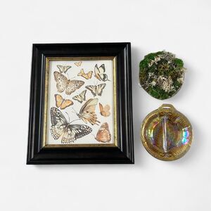 Nature Vibes Gallery Wall 3 Piece Set